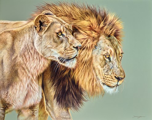 In Rhythm by Darryn Eggleton - Original Painting on Box Canvas